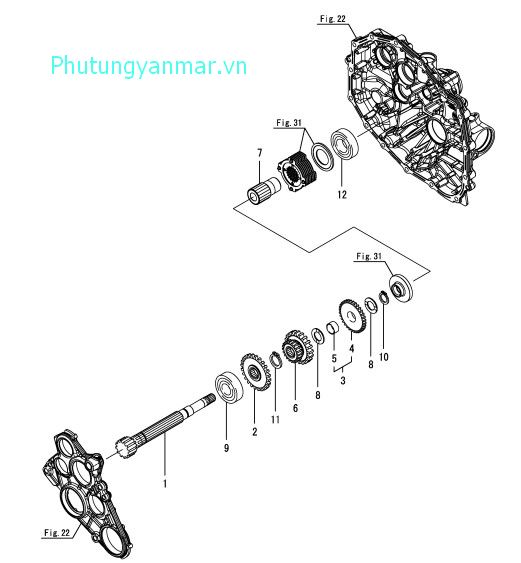 Trục phụ
